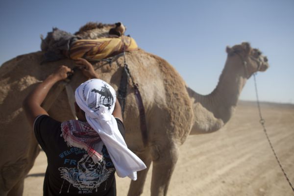 בדואי מתל שבע הצטרף לארגון ג'יהאד עולמי