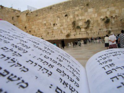 אומרים תהלים לרפואת השוטרת שנפצעה בפיגוע