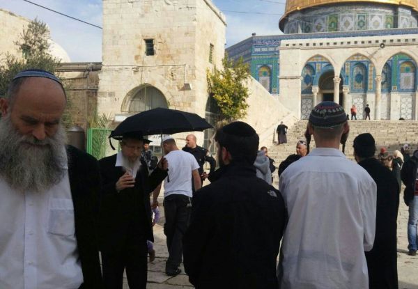 המשטרה התקפלה: הרב קרויזר יעלה להר הבית