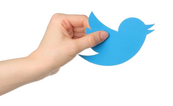 פרויקט מיוחד: 10 הסרוגים הבולטים בטוויטר