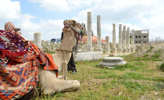 המדריך: טיולים לדתיים בפסח – בואו לשומרון