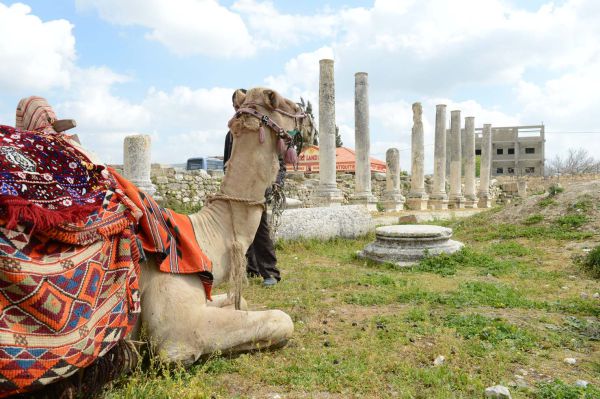 המדריך: טיולים לדתיים בפסח – בואו לשומרון