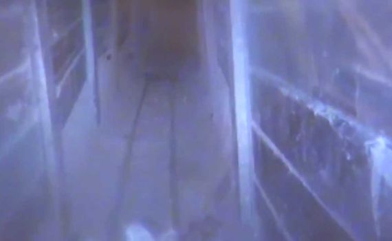 דרך מנהרת טרור: פעיל חמאס חצה את הגבול מעזה לישראל