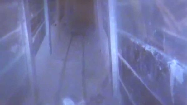 דרך מנהרת טרור: פעיל חמאס חצה את הגבול מעזה לישראל