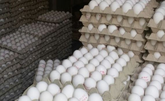 30,000 ביצים מזויפות נתפסו בדרך לחנויות בי-ם