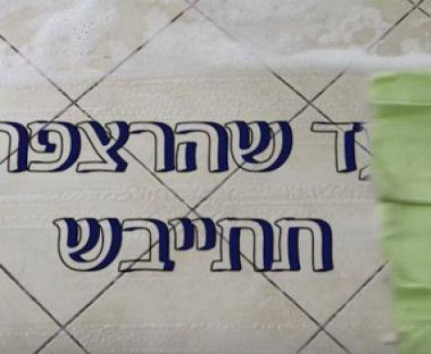 "עד שהרצפה תתייבש": 2 דקות על פרשת 'תזריע'