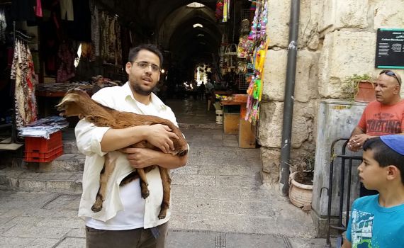 שיא במספר היהודים שנעצרו בדרך לירושלים
