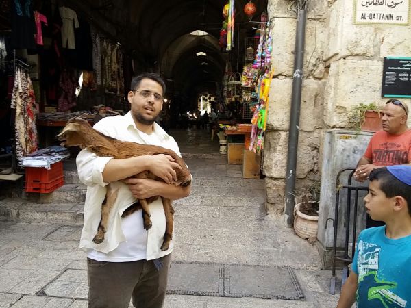 שיא במספר היהודים שנעצרו בדרך לירושלים