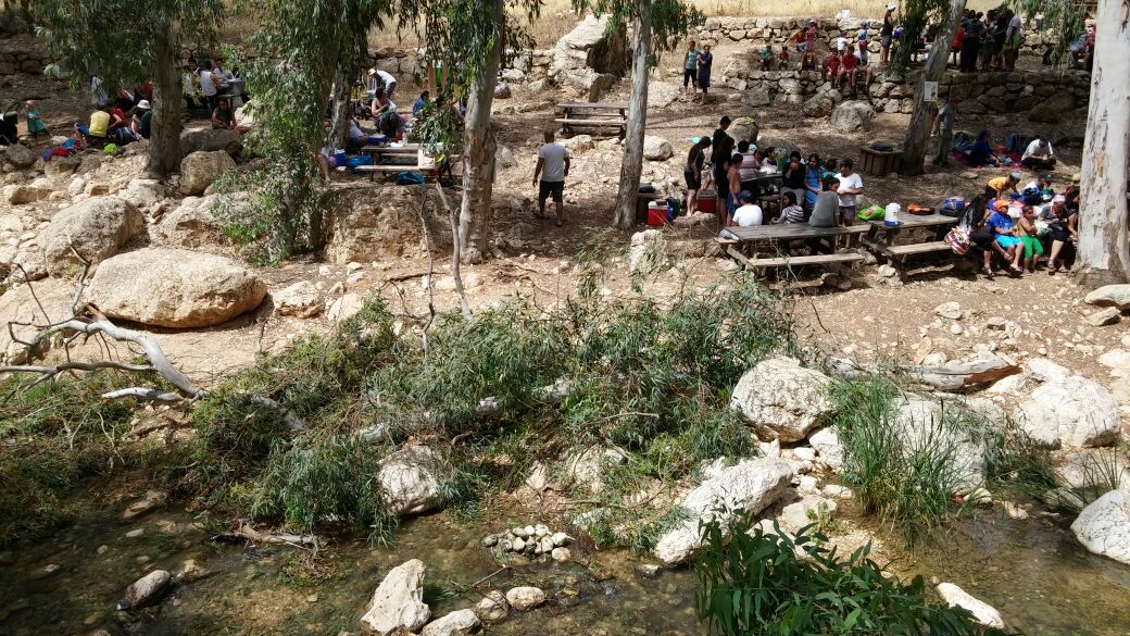 אדם נפצע מקריסת עץ, שמורת 'עין פרת' פונתה