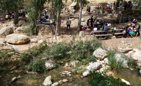 אדם נפצע מקריסת עץ, שמורת 'עין פרת' פונתה