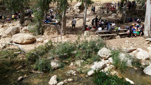 אדם נפצע מקריסת עץ, שמורת 'עין פרת' פונתה