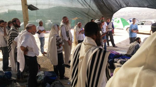 ישוב חדש עלה בשומרון – אביתר