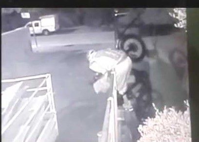 מצלמות האבטחה תיעדו: הגנב הגרוע ביותר. צפו