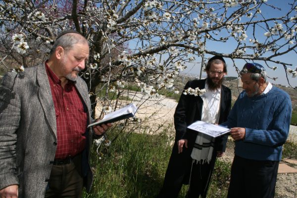 ברכת האילנות, להגיד לבד או לחכות למניין? שו"ת