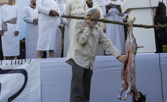 צפו: החזרה הגנרלית להקרבת קרבן פסח