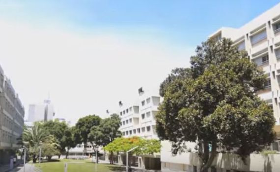 אחרי בר אילן: סערה גם באוניברסיטת תל אביב