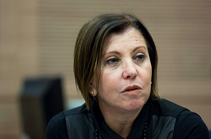 זהבה גלאון ל'סרוגים': "זה לא יקרה הרבה אבל אני תומכת בבנט"