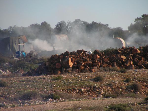 דמעות בכנסת: "בגלל המפחמות חליתי בסרטן"