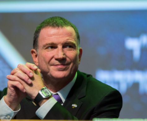 אדלשטיין מתחתן: אלה 4 הח"כים שלא הוזמנו