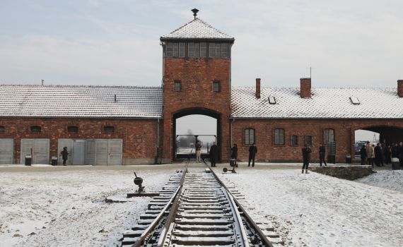 אמרו פרק תהילים לזכר 6 מיליון קדושי השואה