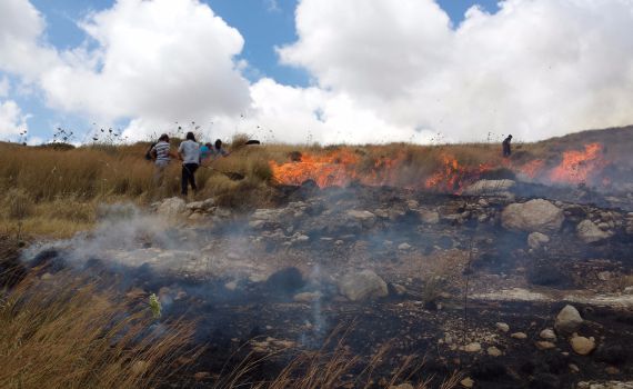 במהלך סוף השבוע: גל הצתות ערביות סביב יצהר