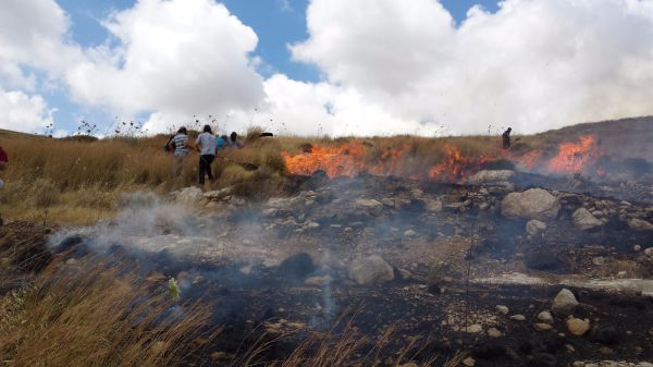 במהלך סוף השבוע: גל הצתות ערביות סביב יצהר