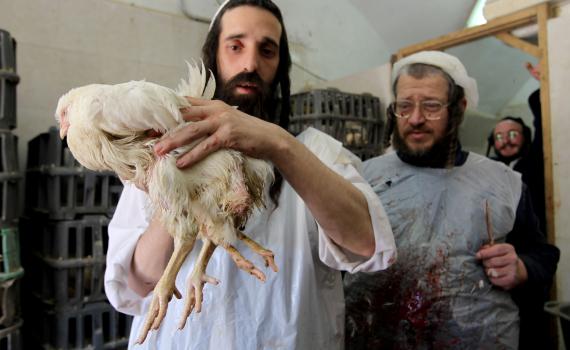 השופטת שלחה את יואל קרויס ל-7 חודשי מאסר