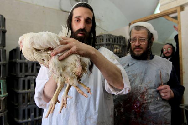 השופטת שלחה את יואל קרויס ל-7 חודשי מאסר