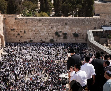 הרב רבינוביץ': "מי יודע כמה חללים נפלו עד כה?"