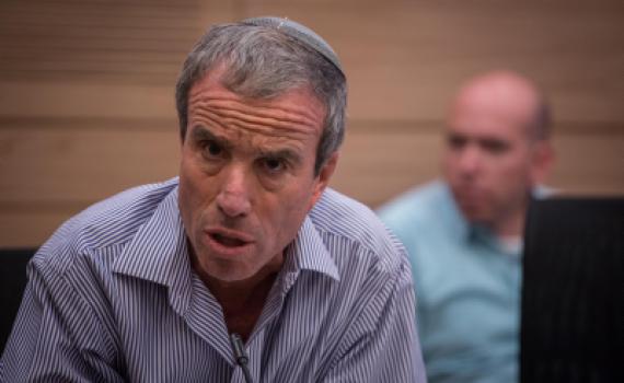 לאה גולדין במתקפה חריפה נגד אלעזר שטרן