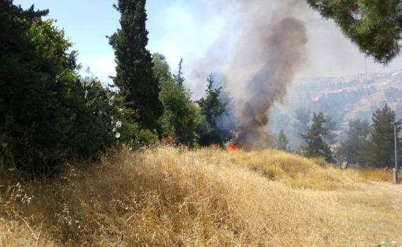 חגיגה לשמאל: משרדי מועצת יש"ע פונו