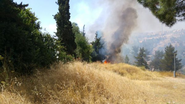 חגיגה לשמאל: משרדי מועצת יש"ע פונו