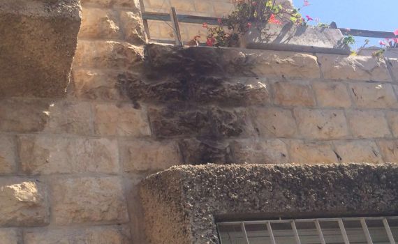 ערבים יידו בקבוק תבערה – המשטרה הענישה