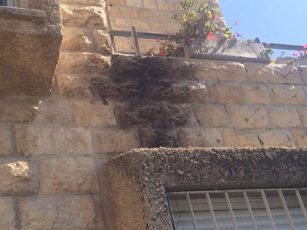 ערבים יידו בקבוק תבערה – המשטרה הענישה