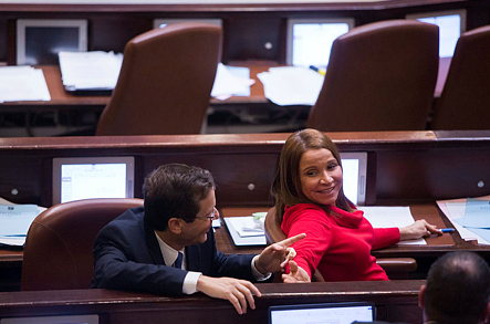 הפריימריז בעבודה: מבוכה להרצוג ויחימוביץ'