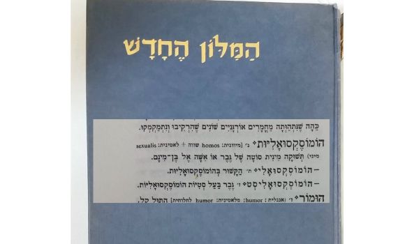 לפי מילון אבן שושן, הרב יגאל לוינשטיין צודק