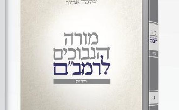 ספר חדש: מורה נבוכים או מביך תמימים?