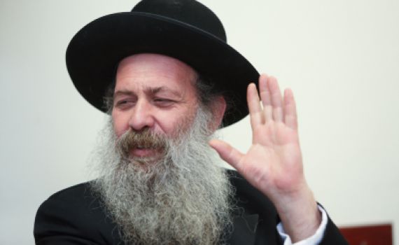 בנו של שולי רנד: "אמא ניסתה לייצר פרובוקציה"