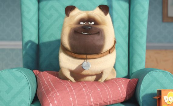 רוצו לראות: החיים הסודיים של חיות המחמד