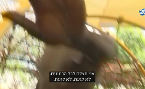 צפו: צלם ערוץ 20 הותקף באלימות על ידי מסתננים