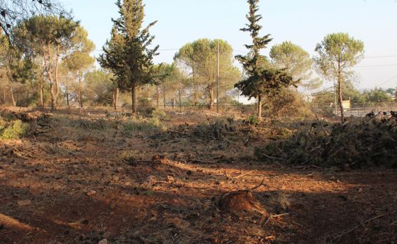 הדרך התמוהה של המנהל האזרחי להלחם בשריפות