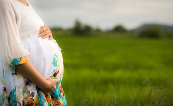 תרומת זרע לרווקה – שאלה של מדיניות הלכתית