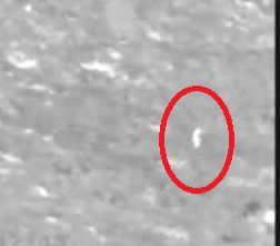 צפו: כך זוהה המחבל שחדר לישוב אפרת