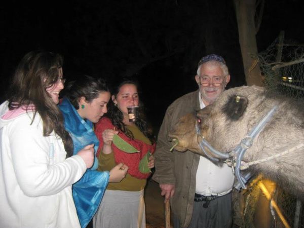 טרגדיה במצפה יריחו: האב השכול התאבד על קבר בנו