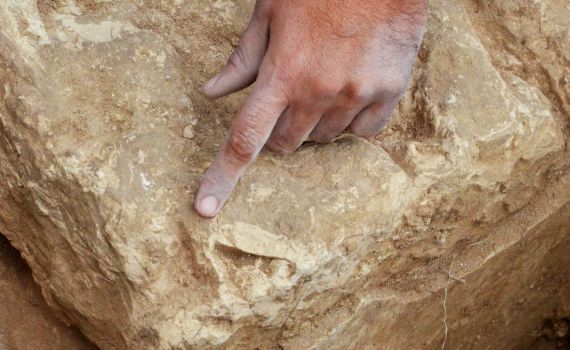 נמצאה העדות למלחמתו של חזקיהו בעבודה הזרה