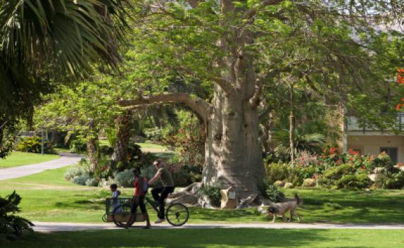 "טעות": התושבים החליטו: לא רוצים בית כנסת