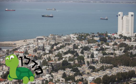 הכר את השכונה הסרוגה – נווה שאנן בחיפה