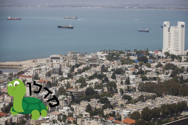 הכר את השכונה הסרוגה – נווה שאנן בחיפה