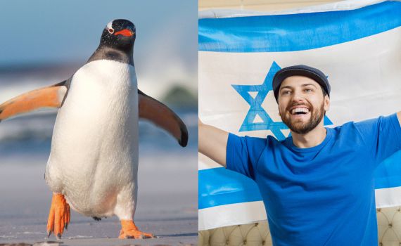 לקראת החגים: בחן את עצמך, איזה יונק אתה?