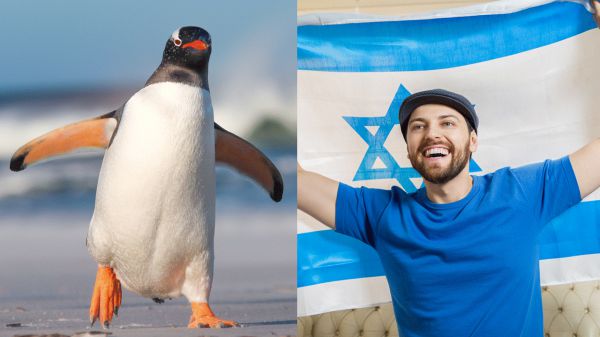 לקראת החגים: בחן את עצמך, איזה יונק אתה?